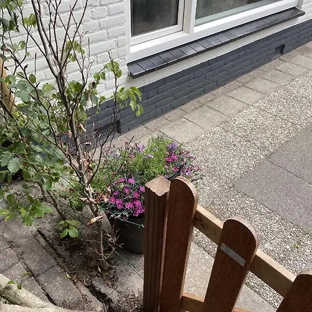 Brink 9b Holiday home De Koog (Texel)